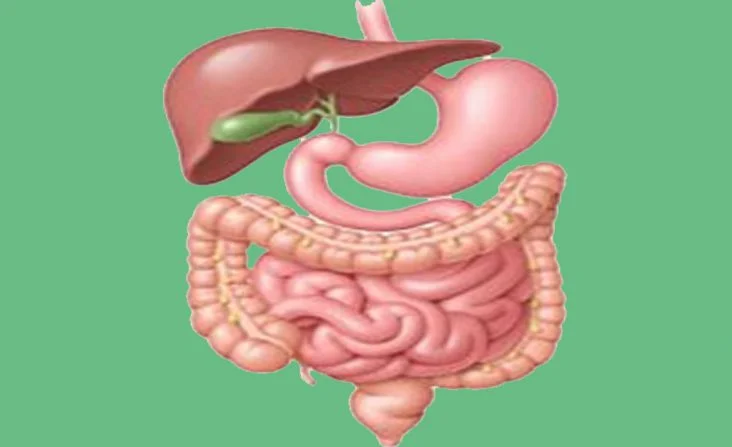 Colonoscopy