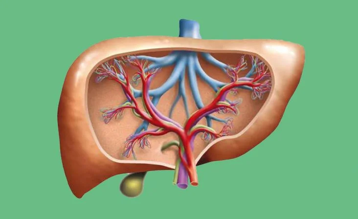 Polypectomy