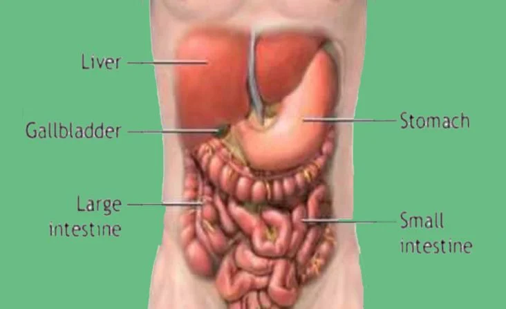 Variceal-Sclerotherapy